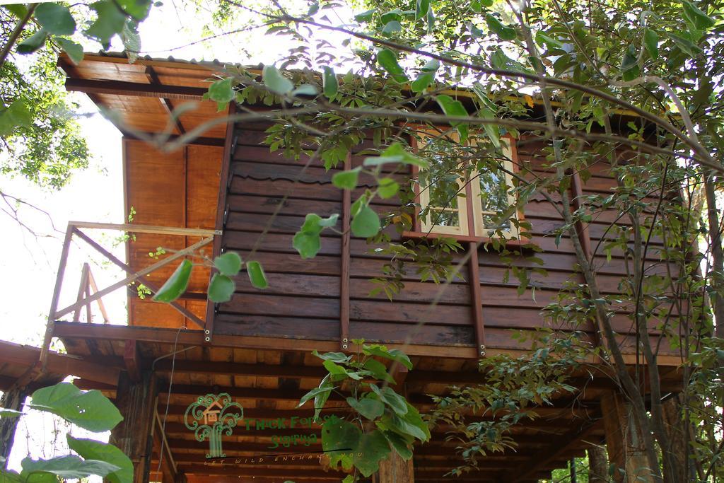 The Thick Forest Sigiriya Rum bild