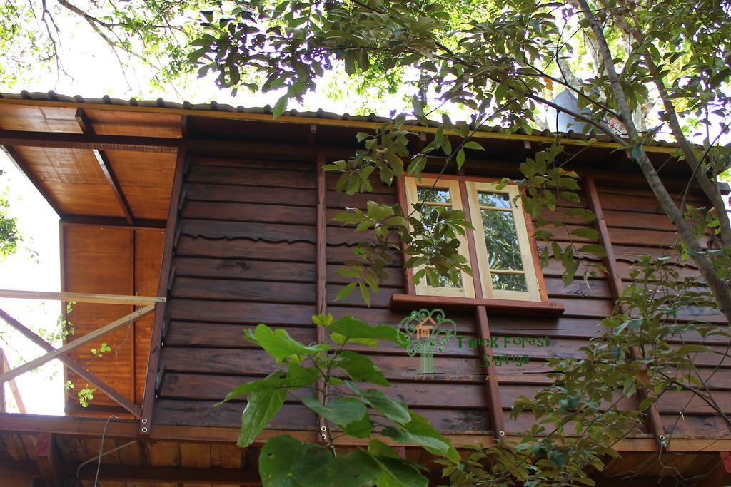 The Thick Forest Sigiriya Rum bild