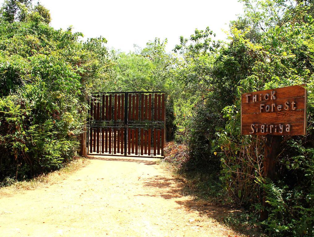 The Thick Forest Sigiriya Exteriör bild