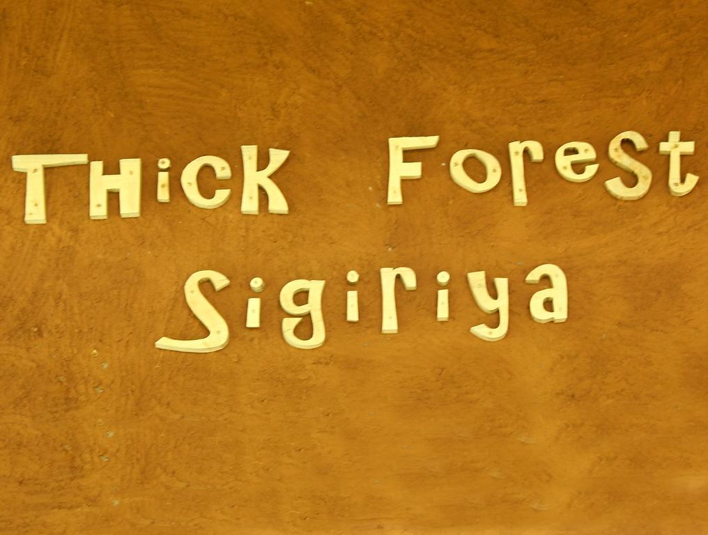 The Thick Forest Sigiriya Exteriör bild