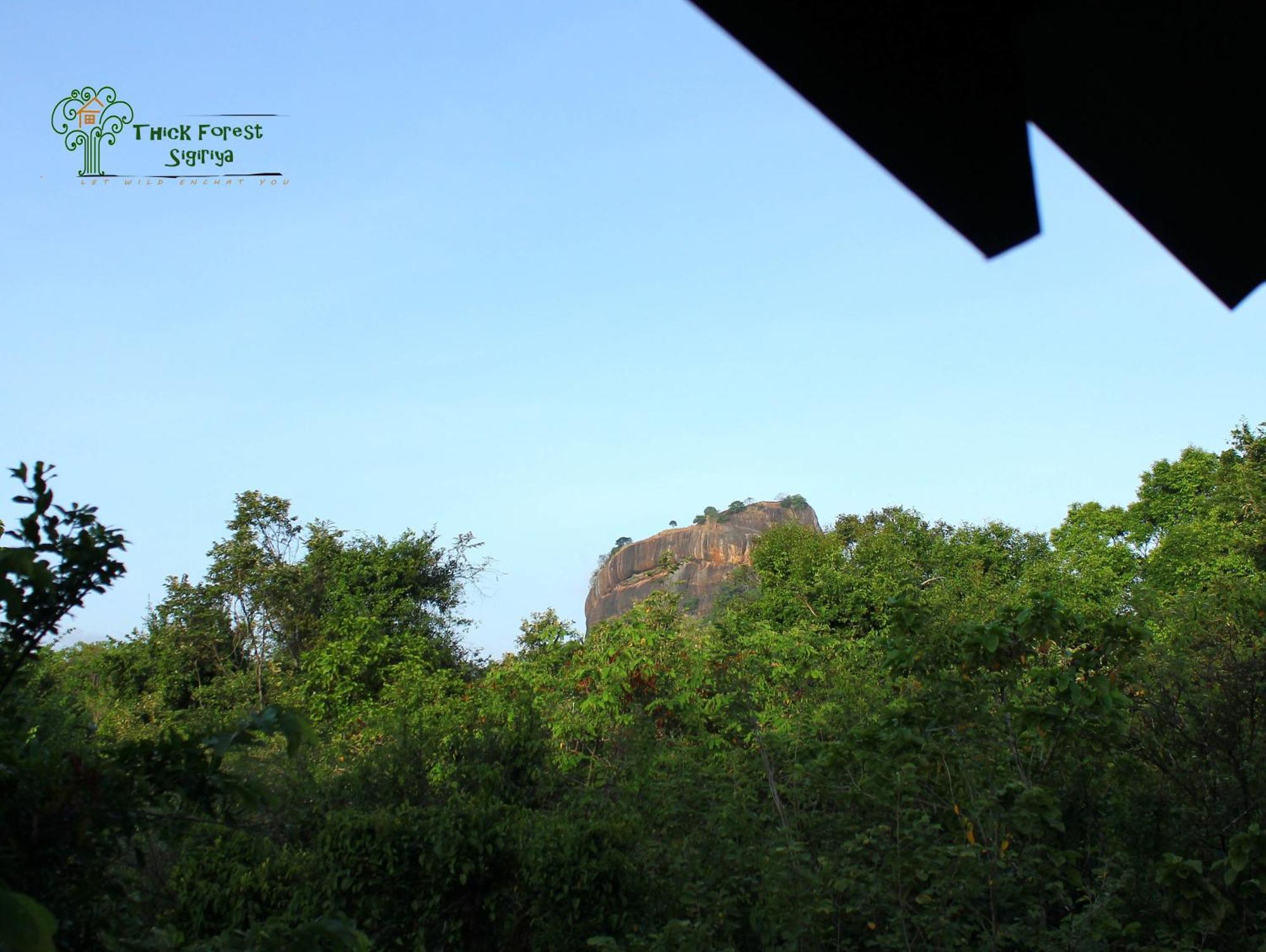 The Thick Forest Sigiriya Rum bild