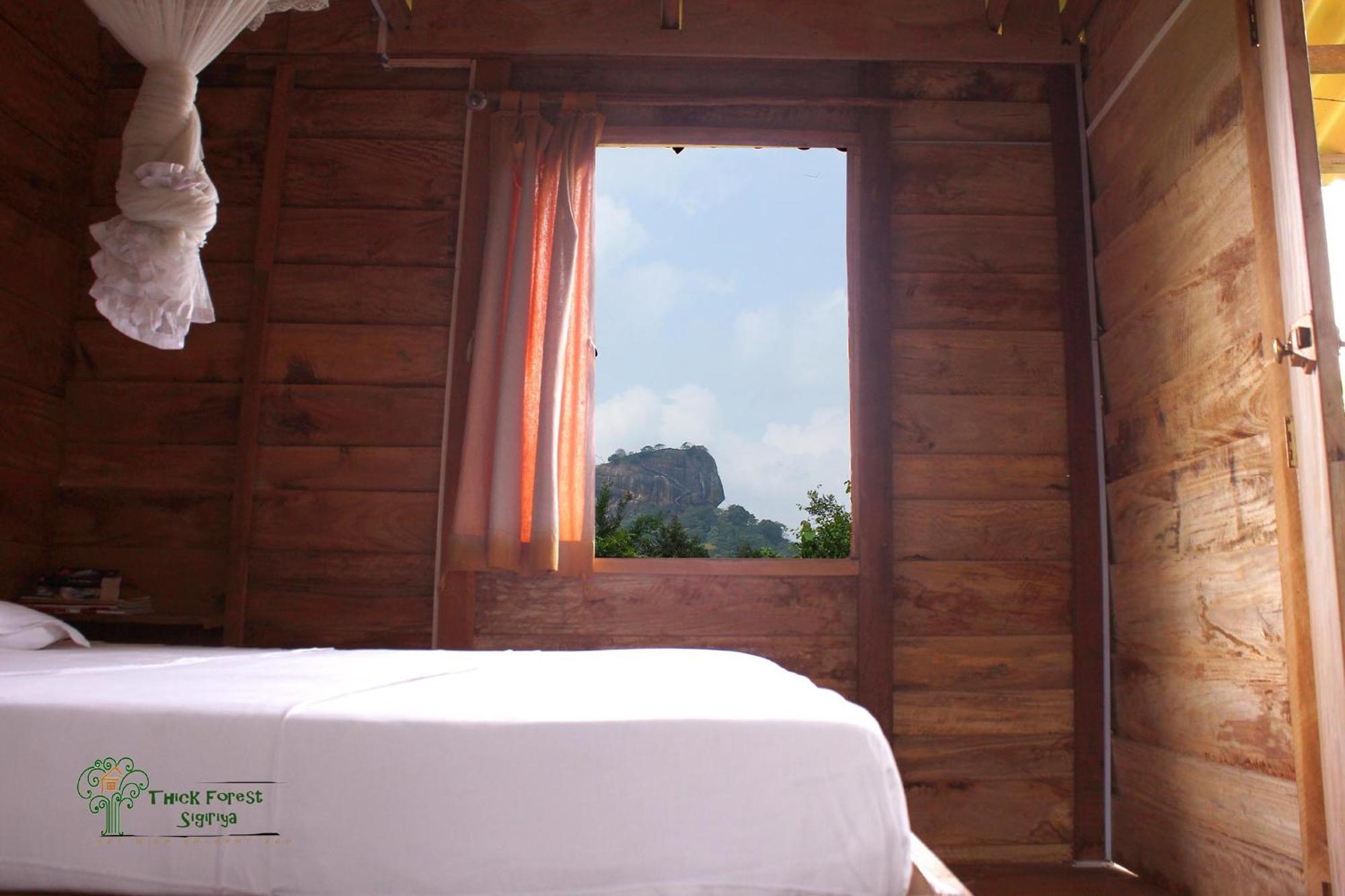 The Thick Forest Sigiriya Rum bild